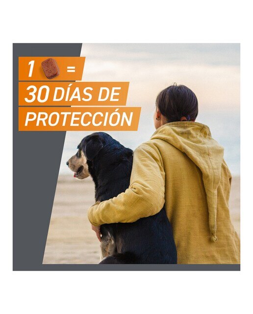 Frontpro 11.3 mg - Chewable tablet 4