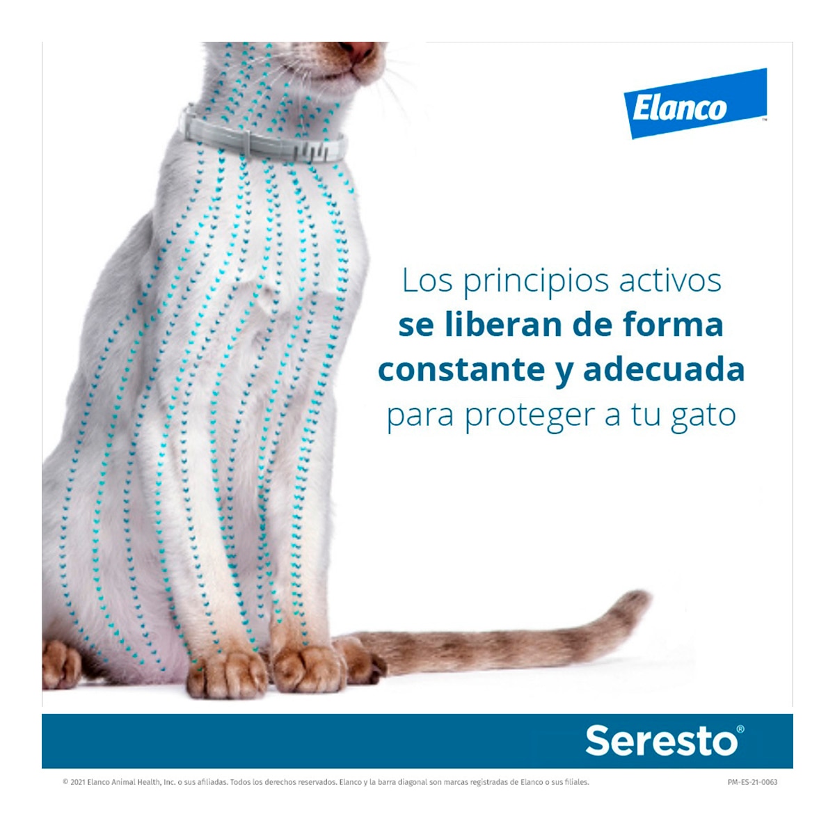Seresto 1,25 g + 0,56 g collar medicamentoso para gatos 3