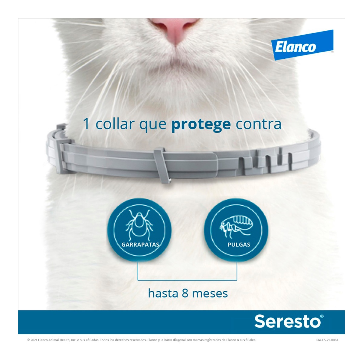 Seresto 1,25 g + 0,56 g collar medicamentoso para gatos 6