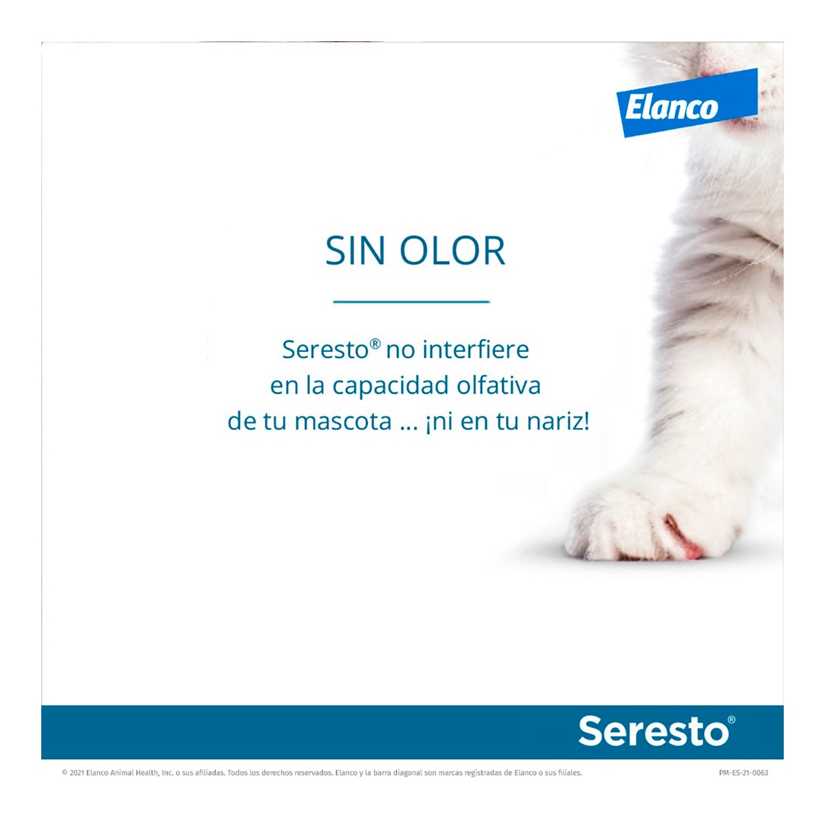 Seresto 1,25 g + 0,56 g collar medicamentoso para gatos 7