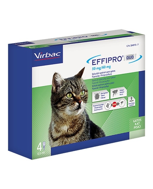 Effipro duo 50 mg/60 mg solución spot-on para gatos