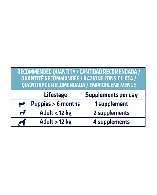 Suplemento para perros cachorros y adultos Advance GastroForte 10 uds 5