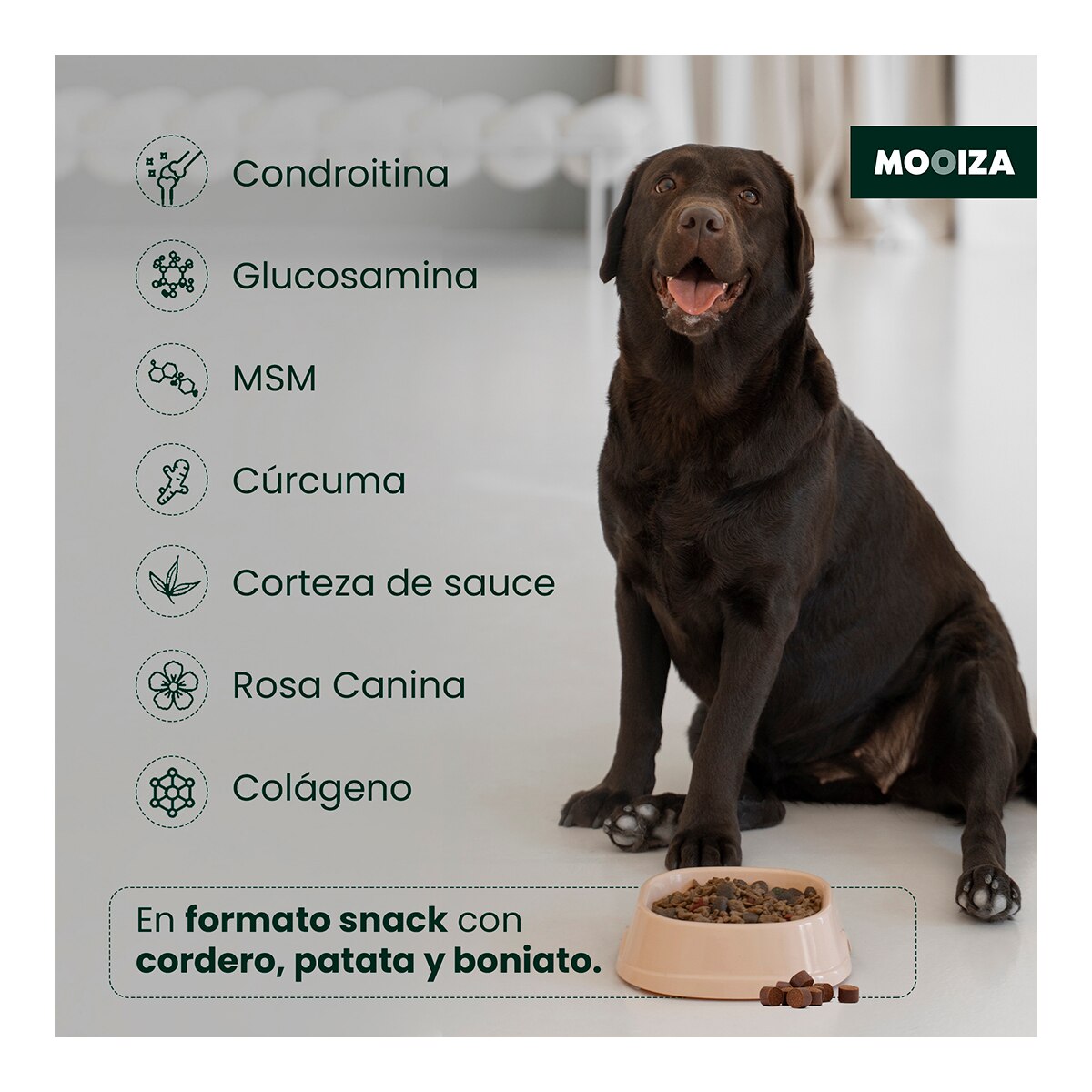 Snack natural para perros Flex Mooiza condroprotecto cordero, patata y boniato 300 g 4