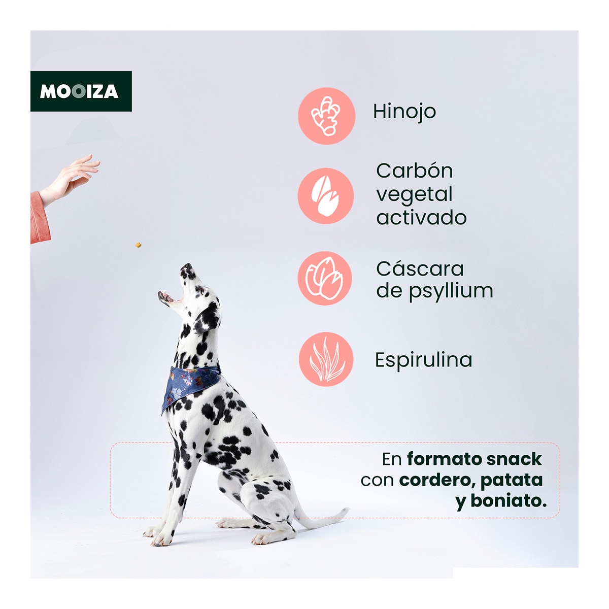 Snack natural para perros Biotic Moozia prebiotico cordero, patata y boniato 300 g 3