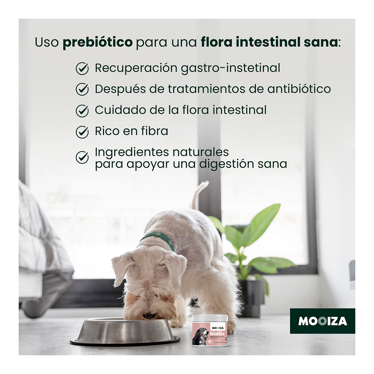 Snack natural para perros Biotic Moozia prebiotico cordero, patata y boniato 300 g 5