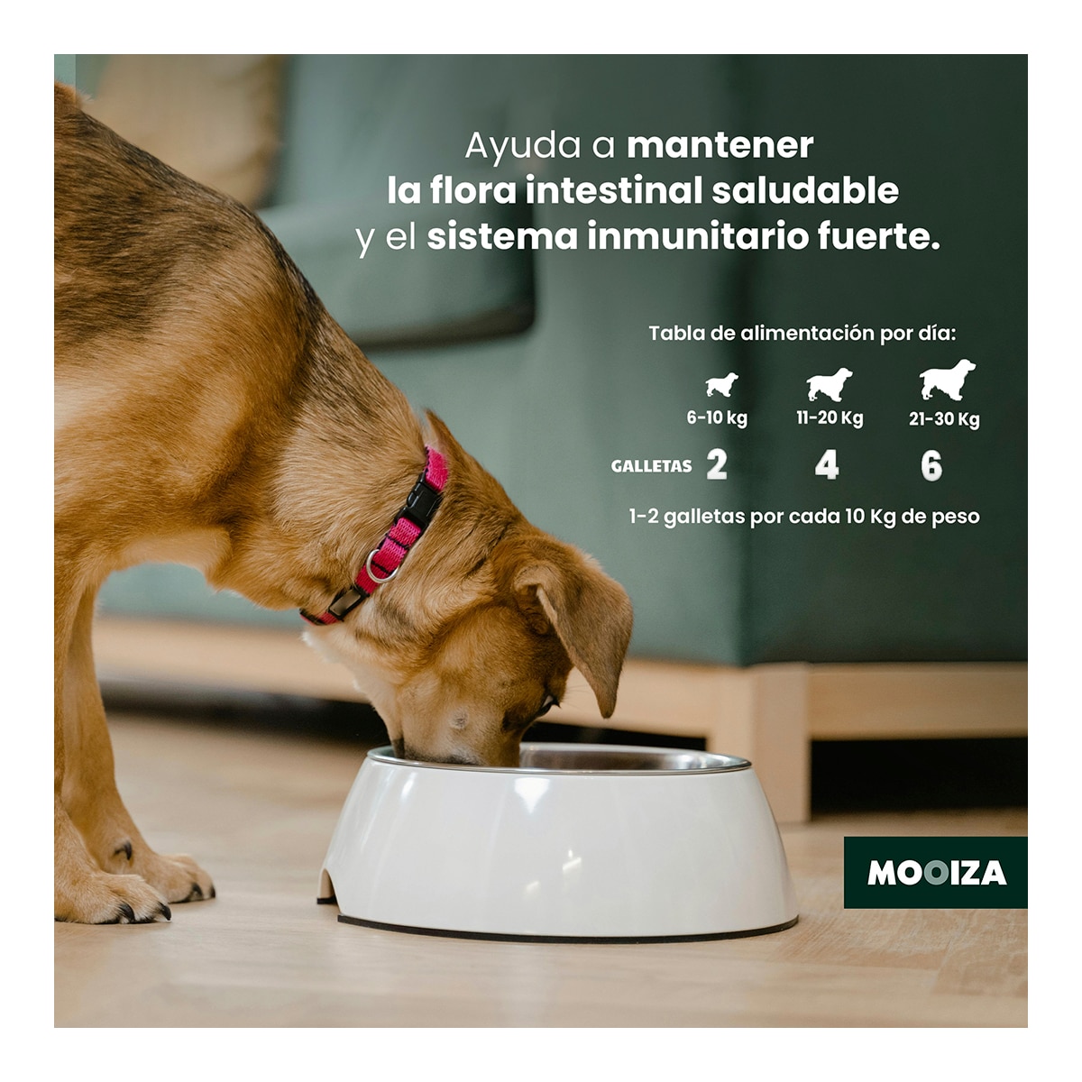 Snack natural para perros Biotic Moozia prebiotico cordero, patata y boniato 300 g 6