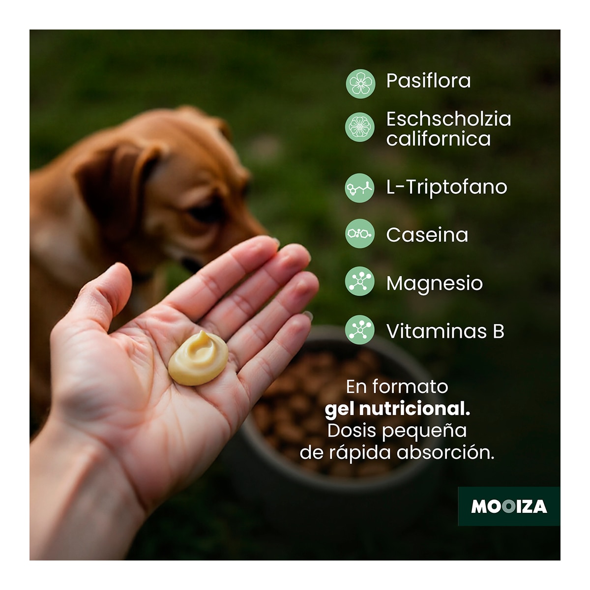 Gel calmante para perros y gatos Zen Forte Mooiza herbal 50 ml 5