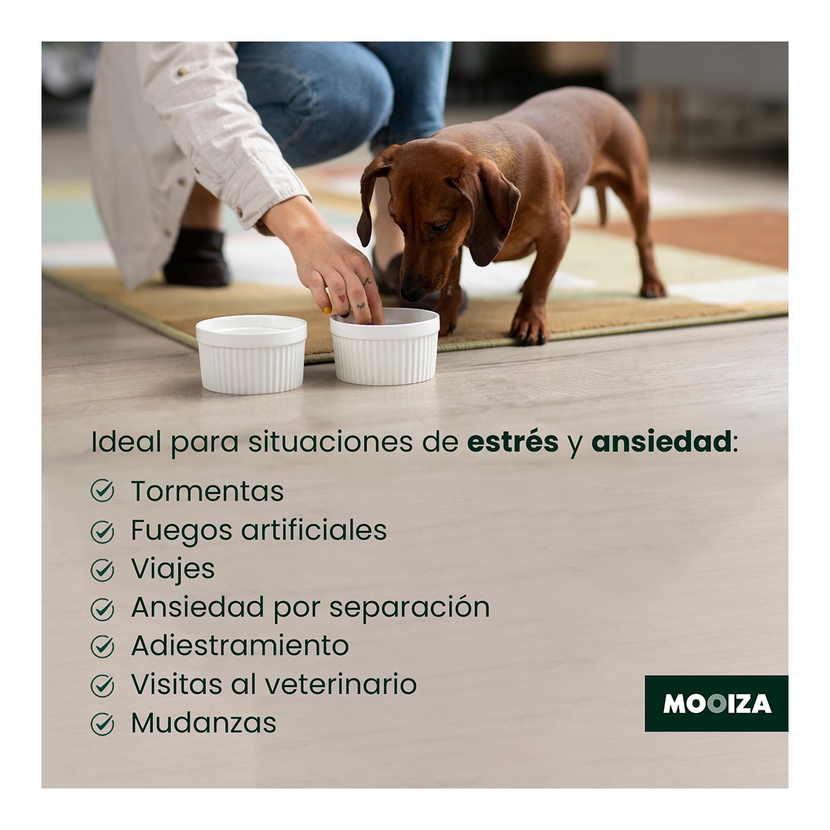 Gel calmante para perros y gatos Zen Forte Mooiza herbal 50 ml 6