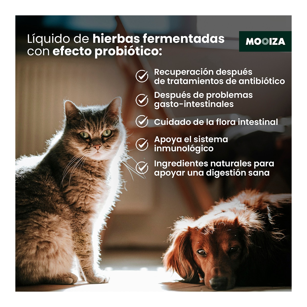 Líquido nutricional probiótico para perros y gatos herbal 150 ml 4