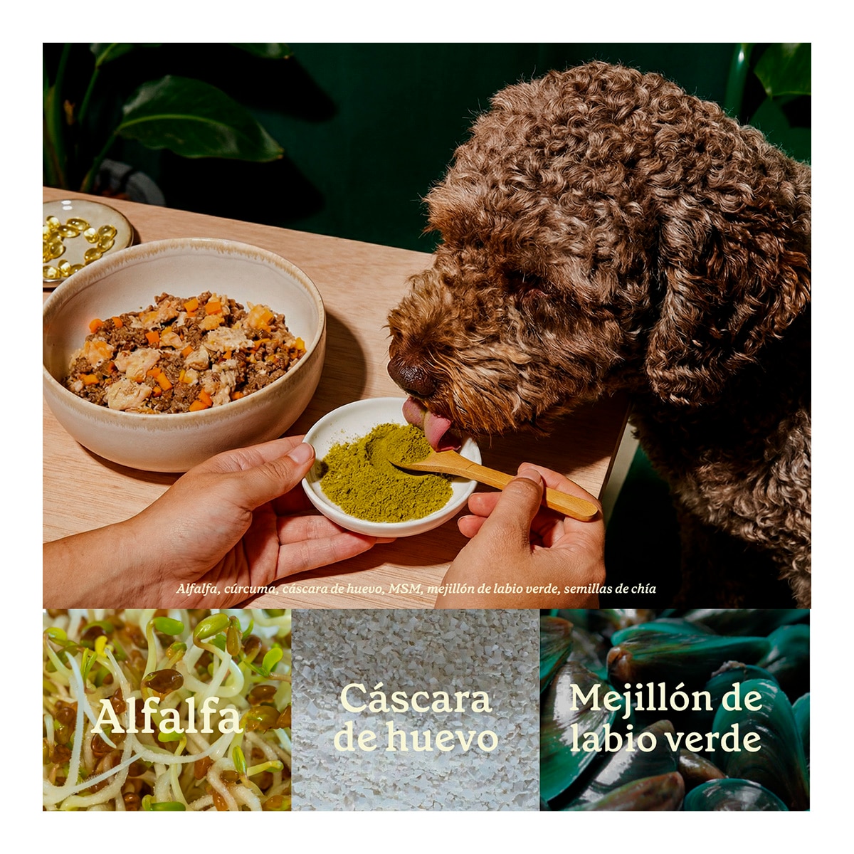 Imagen 4 de Suplemento para perros y gatos articulaciones de acero Wild Balance