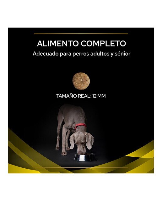 Pienso para perros adultos y sénior Purina Pro Plan Neurocare Dietas Veterinarias 12 kg 3