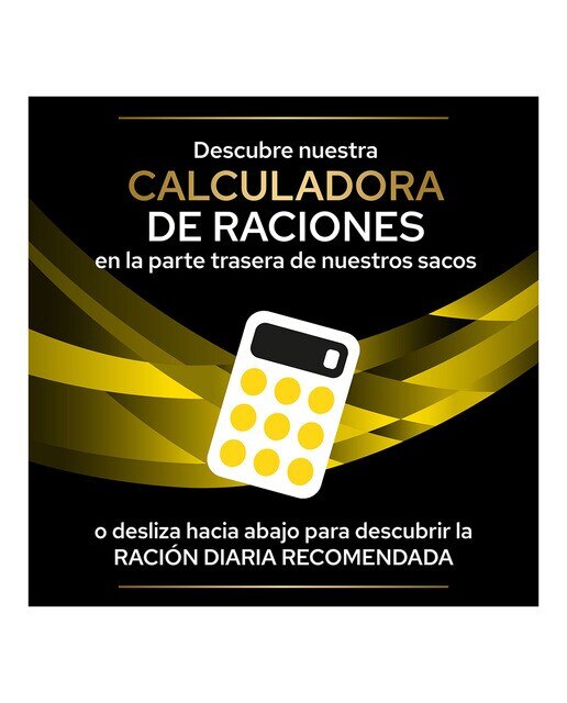 Pienso para perros adultos y sénior Purina Pro Plan Neurocare Dietas Veterinarias 12 kg 5