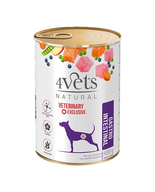 Comida húmeda para perros adultos 4Vets Natural Gastro Intestinal Dietas Veterinarias pavo 400 g