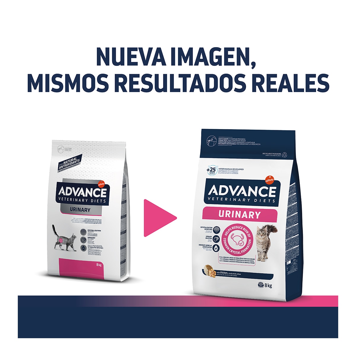 Pienso para gatos adultos Advance Urinary Dietas veterinarias 2