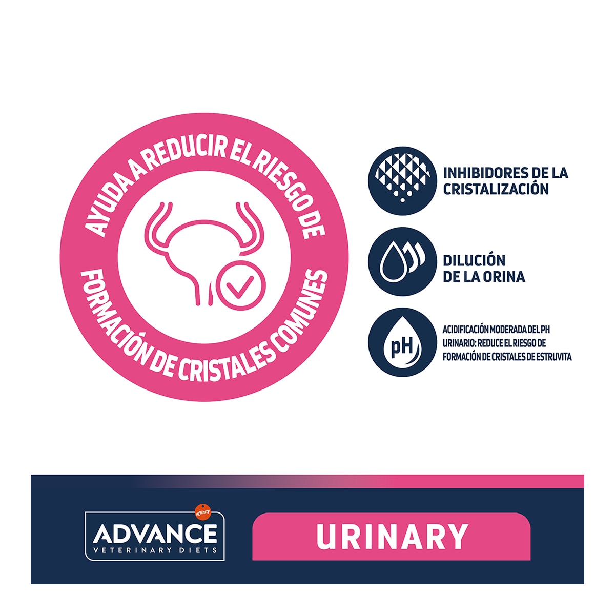 Pienso para gatos adultos Advance Urinary Dietas veterinarias 3