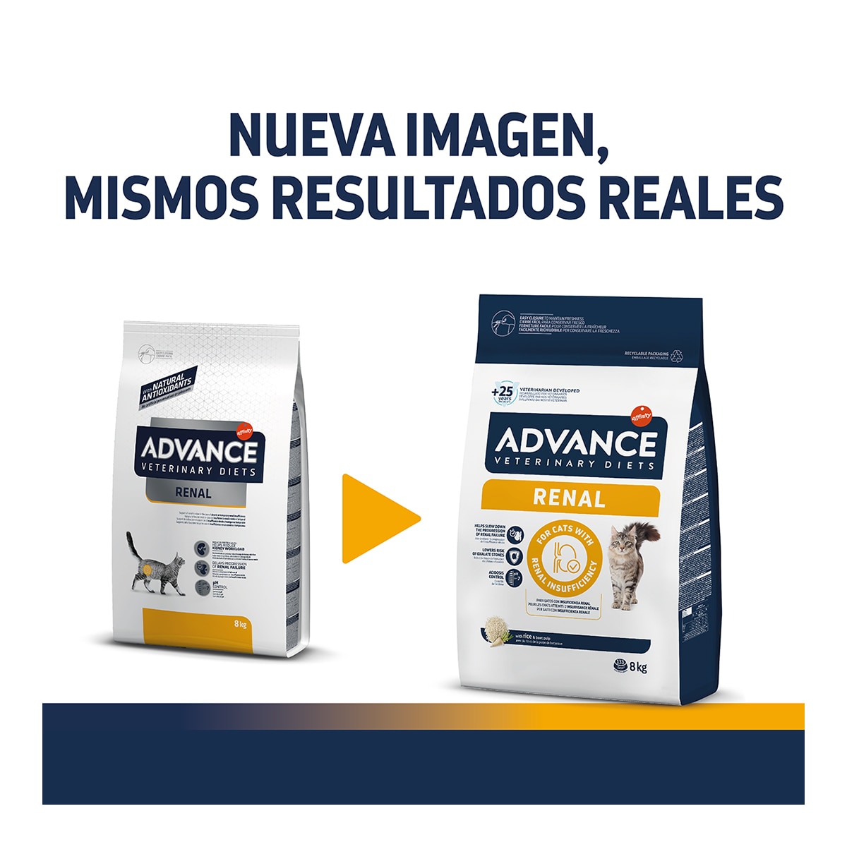 Pienso para gatos adultos Advance Renal Dietas Veterinarias 2