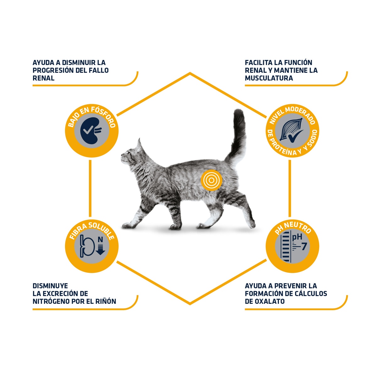 Pienso para gatos adultos Advance Renal Dietas Veterinarias 6