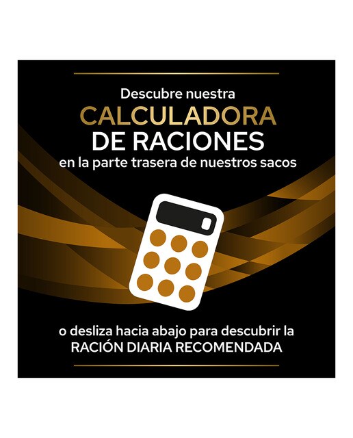 Pienso para gatos adultos y sénior Purina Pro Plan Función Renal Dietas Veterinarias 6