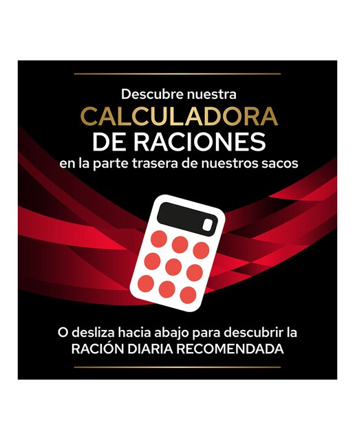 Pienso para gatos adultos Purina Pro Plan Diabetes Management Dietas Veterinarias 5 kg 5