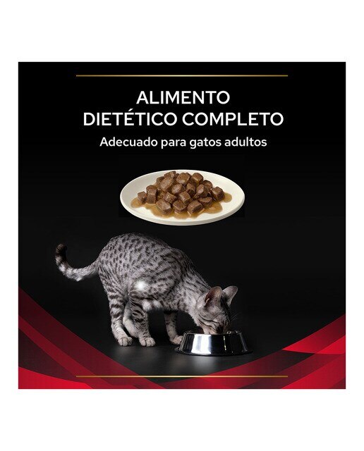 Comida húmeda para gatitos y gatos adultos Purina Pro Plan Diabetes Dietas Veterinarias 10 x 85 g 4