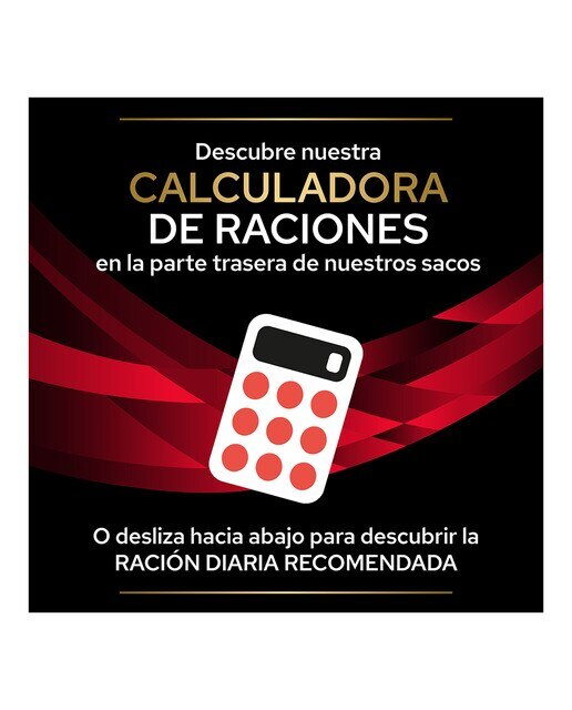 Comida húmeda para gatitos y gatos adultos Purina Pro Plan Diabetes Dietas Veterinarias 10 x 85 g 7