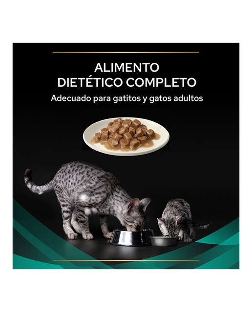 Comida húmeda para gatitos y gatos adultos Purina Pro Plan Gastrointestinal Dietas Veterinarias salmón 10 sobres 4