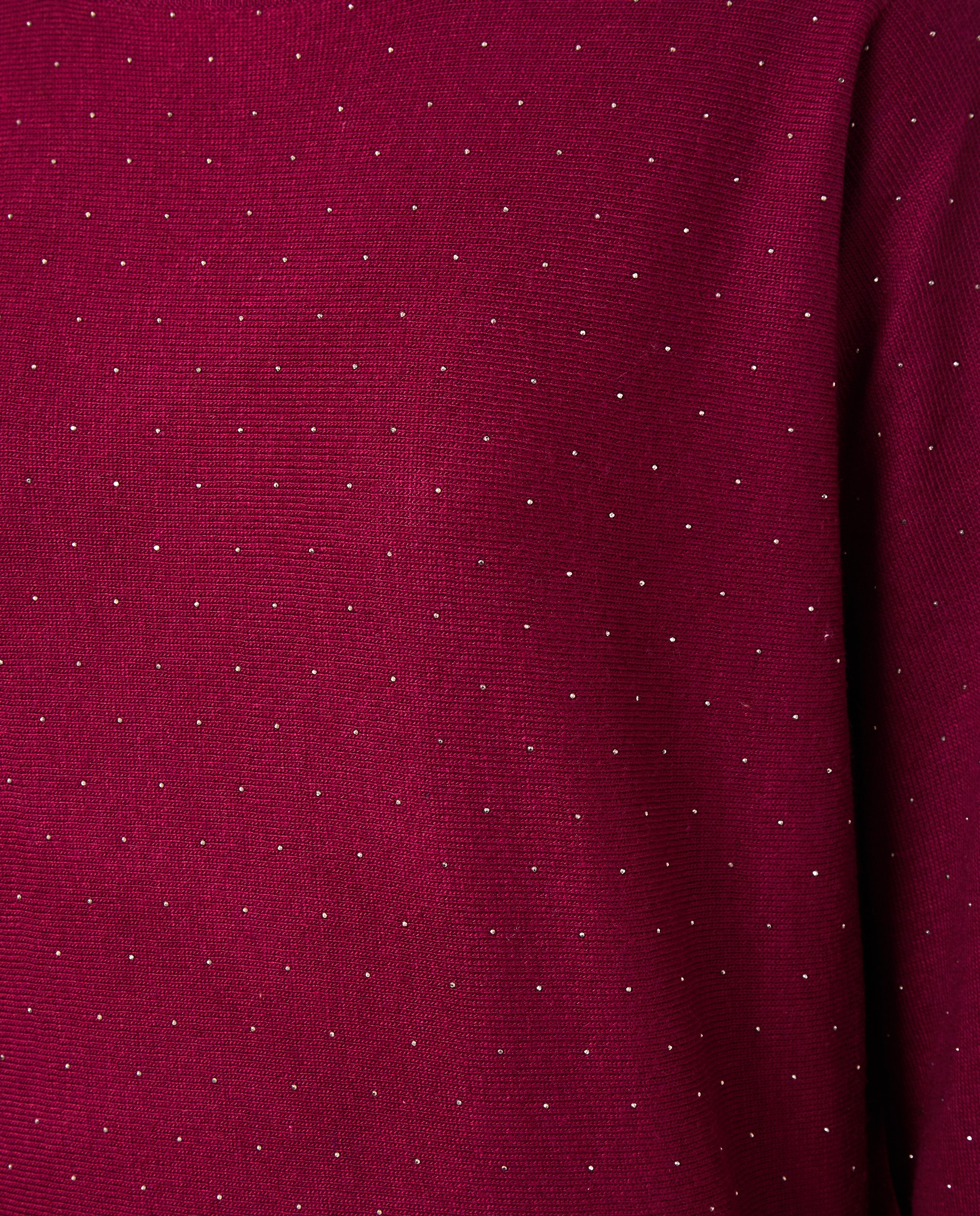 Camisola de Malha com Decote à Barco e Strass Buganvília-5