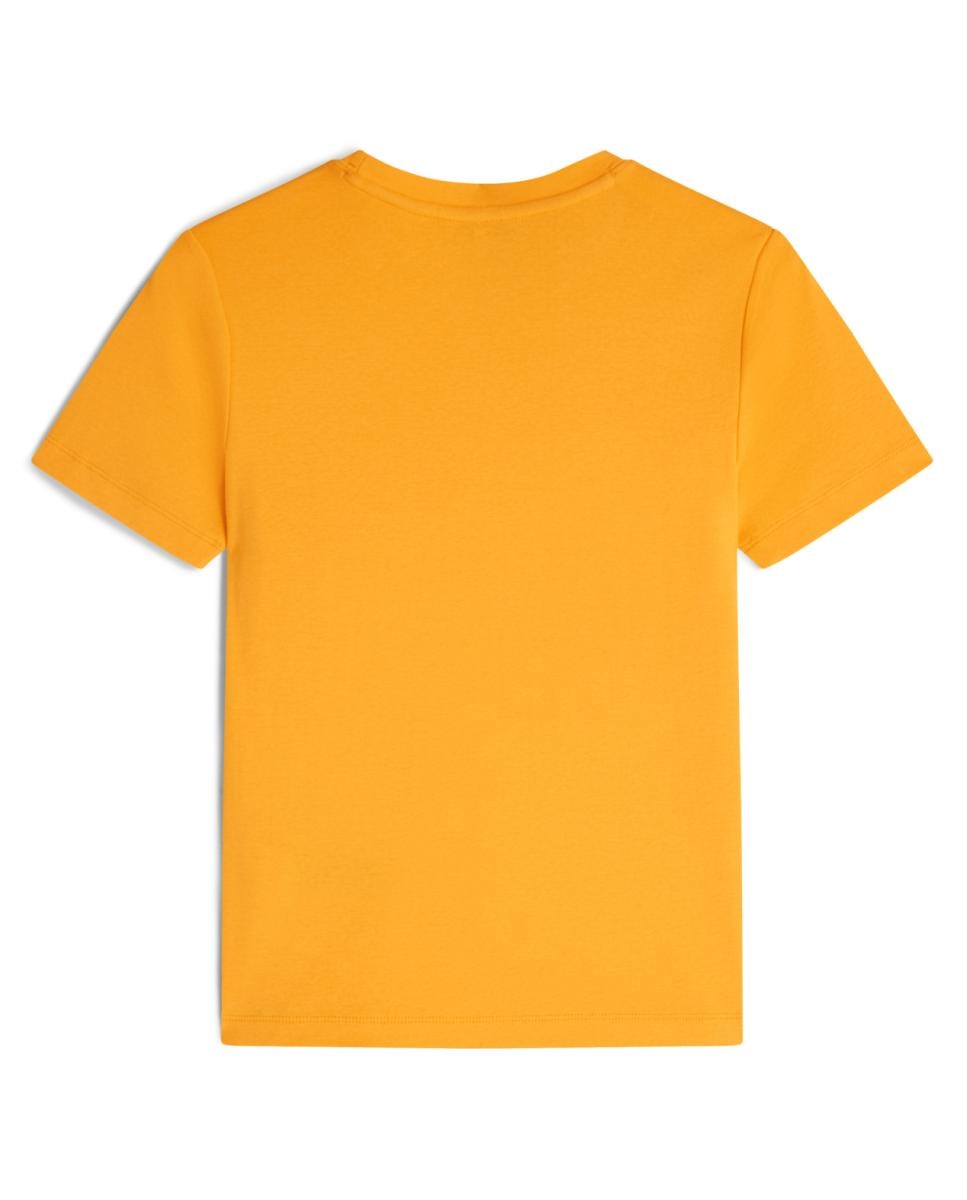 T-shirt de Silhueta Slim com Decote Redondo Mostarda-5