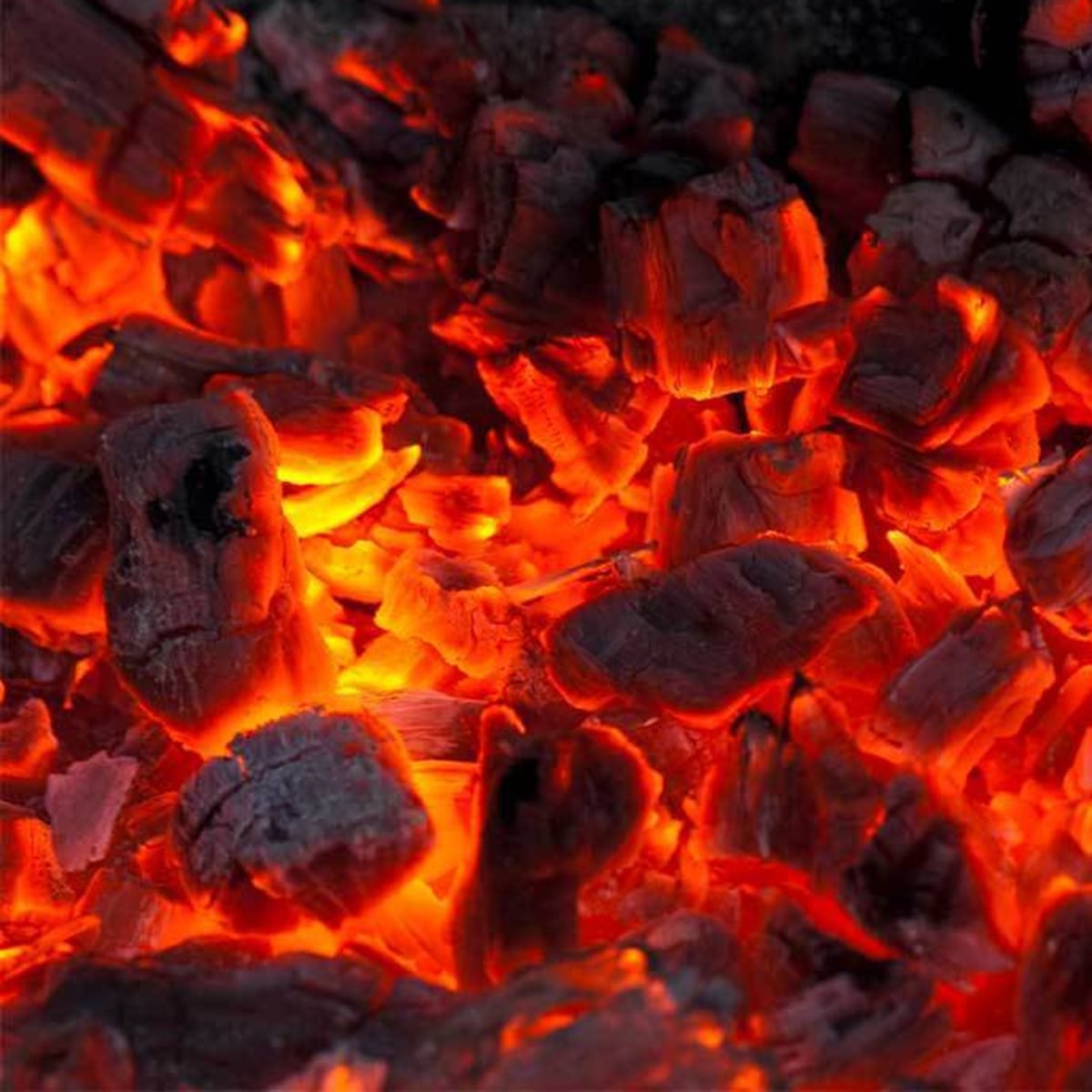 Carbón Vegetal Premium 5 kg 3