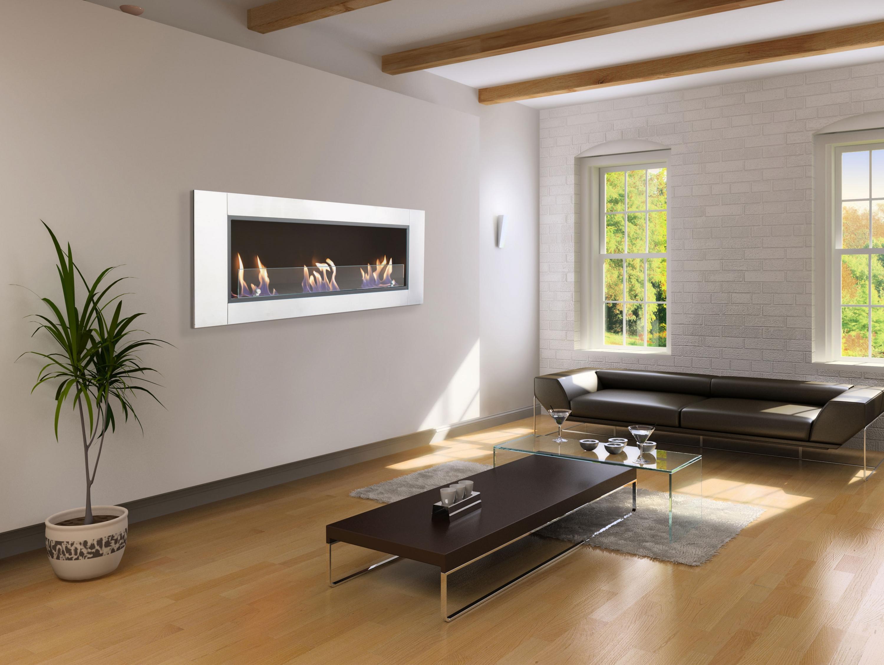 Chimenea Bioetanol 6 kW Hécate 3,6 l Acero Inox-11