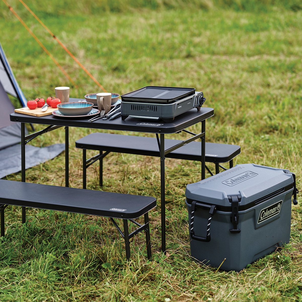 Parrilla Gas Bistro 1,9KW Negro-6