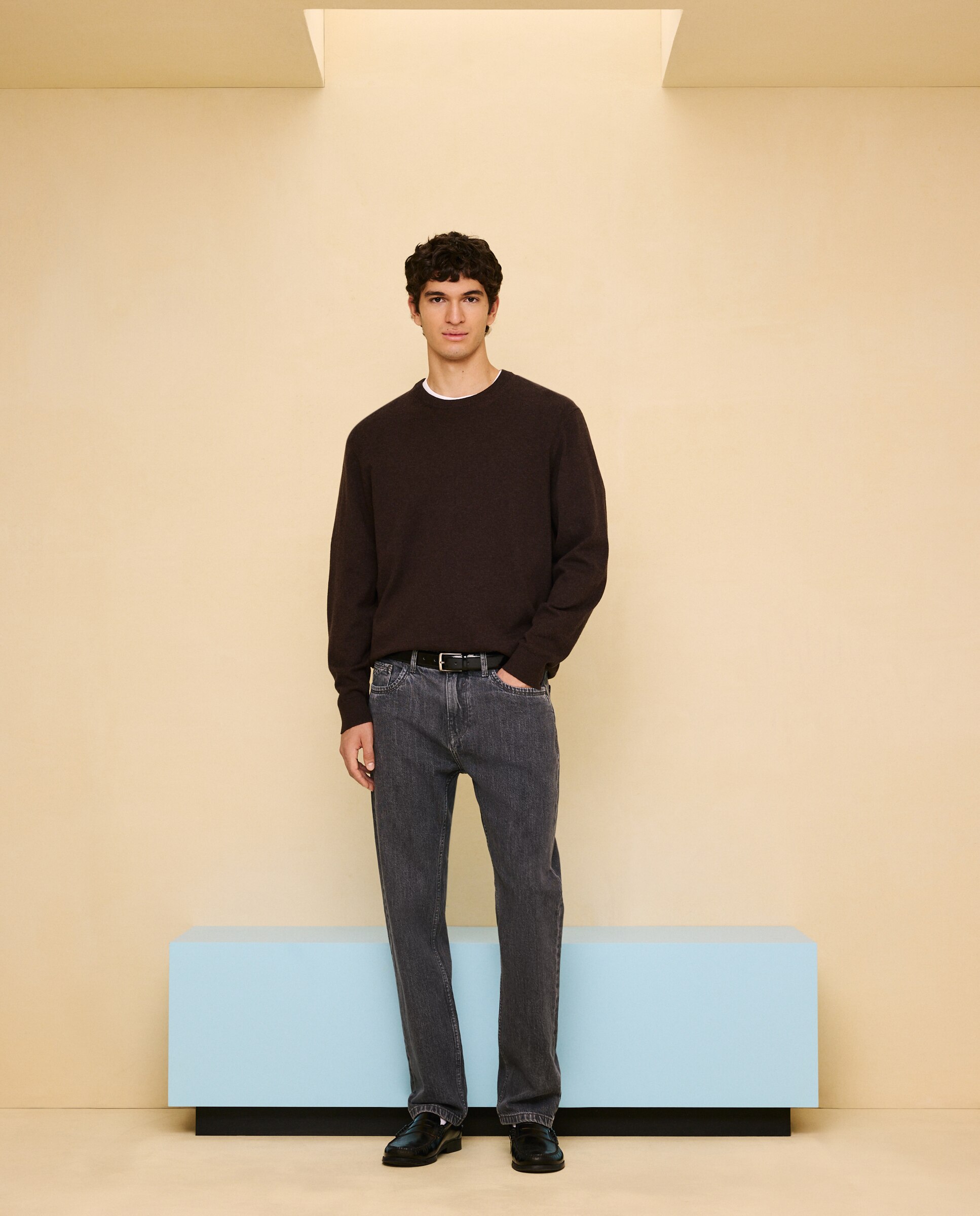 Jersey liso cuello redondo de hombre - Easy Wear - Marrón Marrón-1