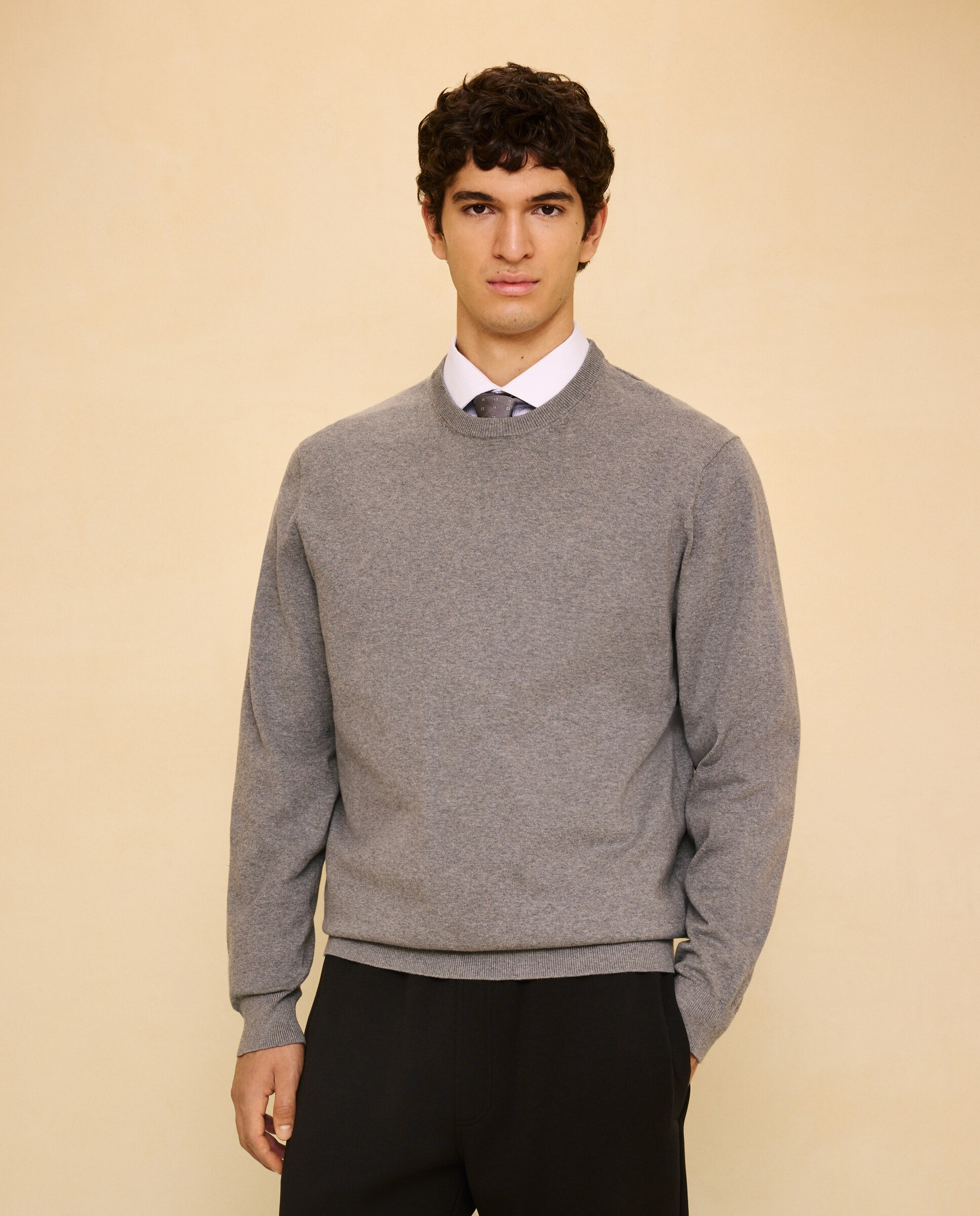 Jersey liso cuello redondo de hombre - Easy Wear - Gris claro Gris claro-2