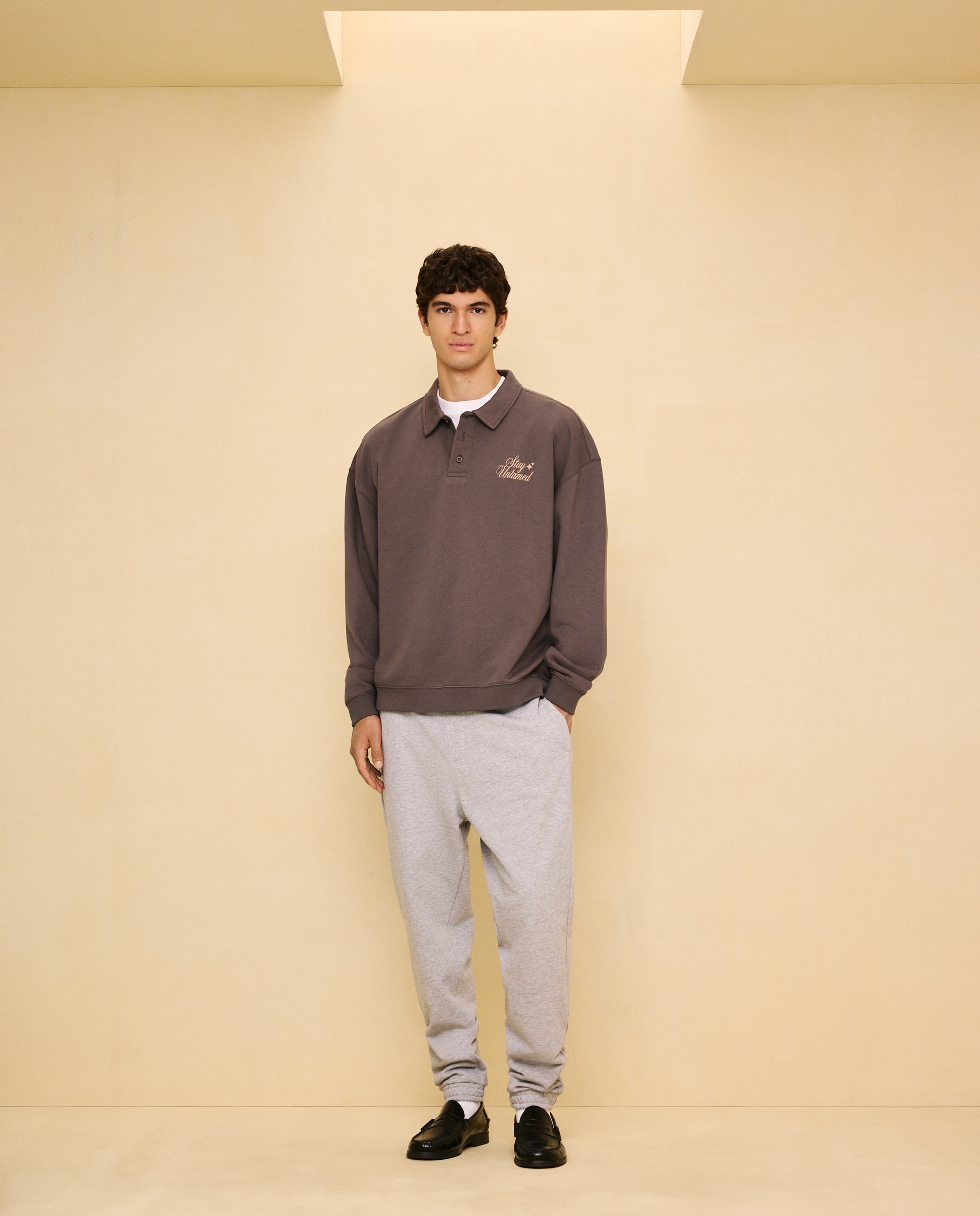 Sweatshirt com Colarinho de Polo Castanho-2