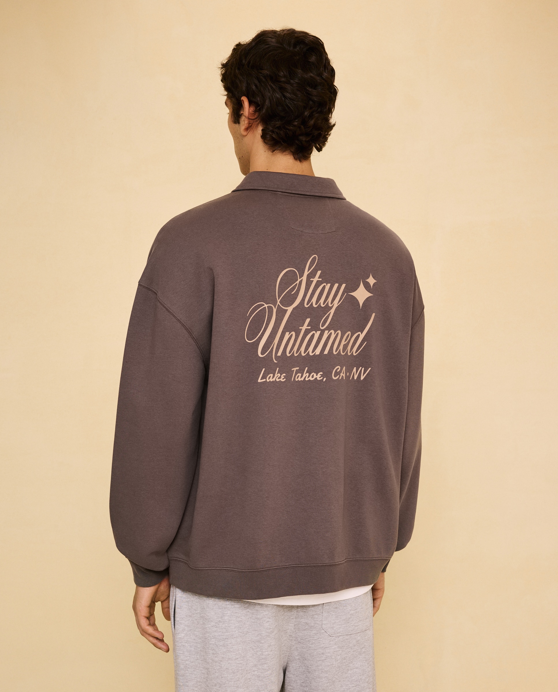 Sweatshirt com Colarinho de Polo Castanho-3