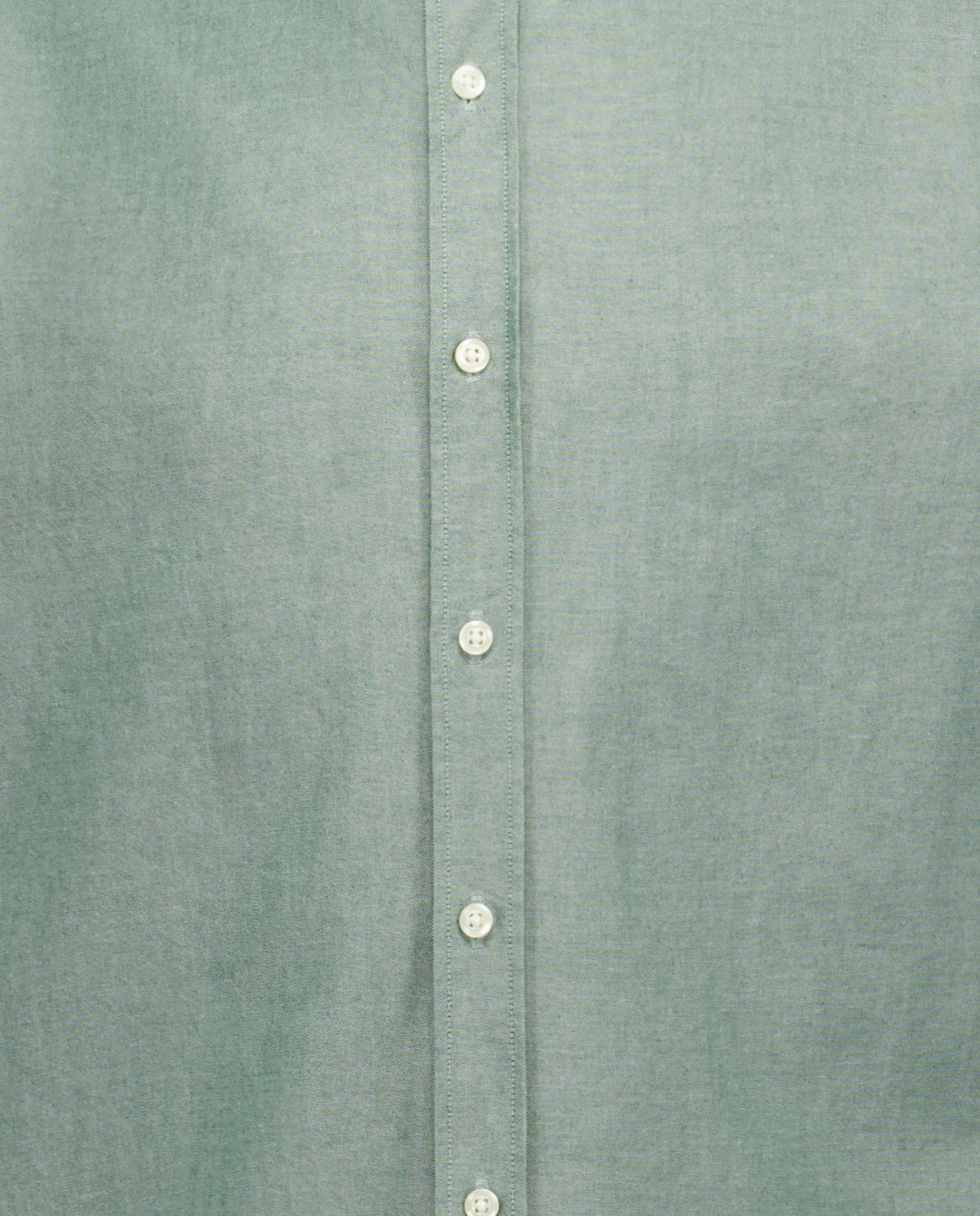 Camisa Oxford Lisa de Manga Comprida 520 Caqui-6