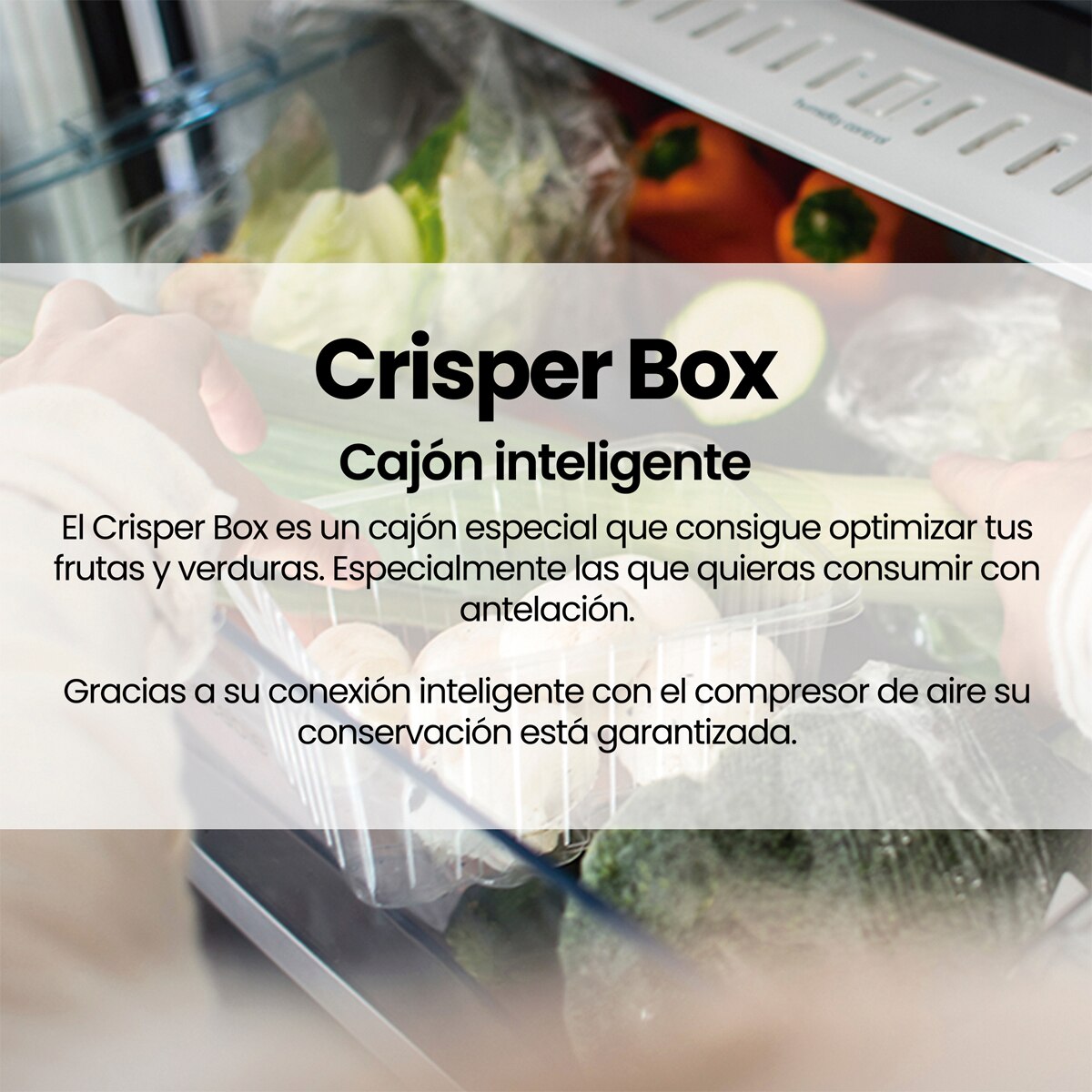 Frigorífico combi Infiniton No Frost cíclico - FGC-210C14BEZ (Reacondicionado Grado D) - Blanco Blanco-7