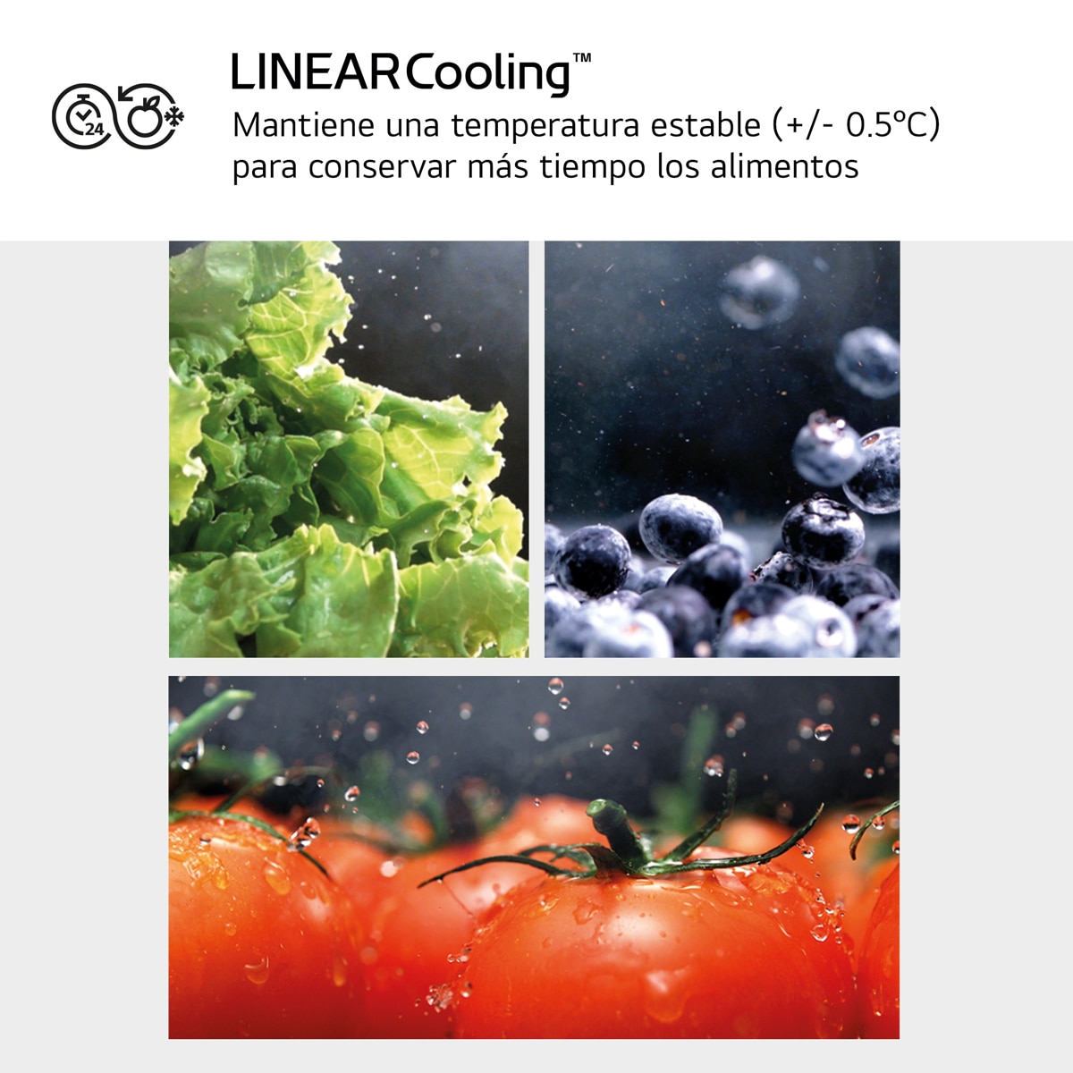 Frigorífico Combi LG No Frost, 186 cm, 352 l, InstaView, negro- GBG5160CEV (Reacondicionado Grado D) - Acero negro grafito Acero negro grafito-8