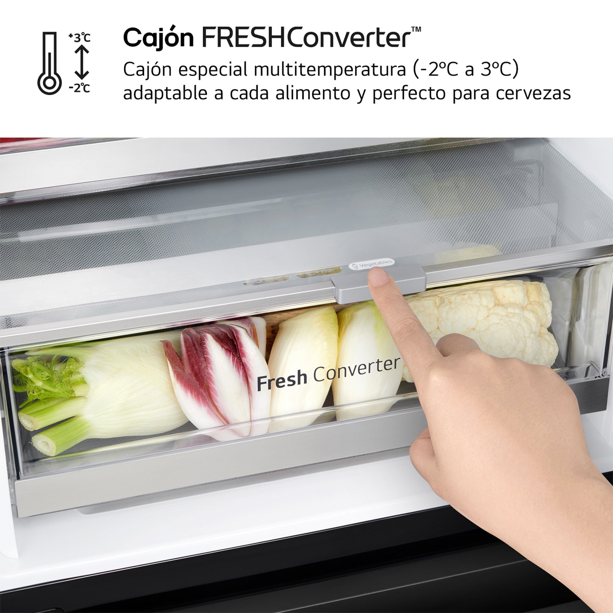 Frigorífico Combi LG No Frost, 186 cm, 352 l, InstaView, negro- GBG5160CEV (Reacondicionado Grado D) - Acero negro grafito Acero negro grafito-12