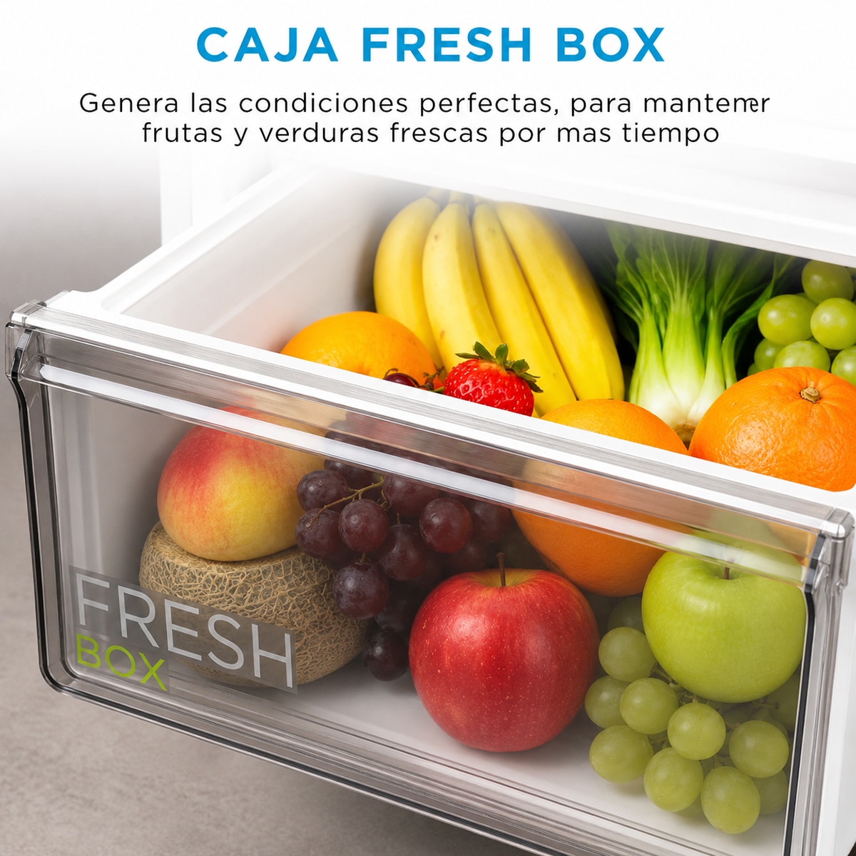 Frigorífico combi Midea Total No Frost Space Master 443L - MDRB600MIC46P (Reacondicionado Grado D) - Inox Brillante Inox Brillante-9