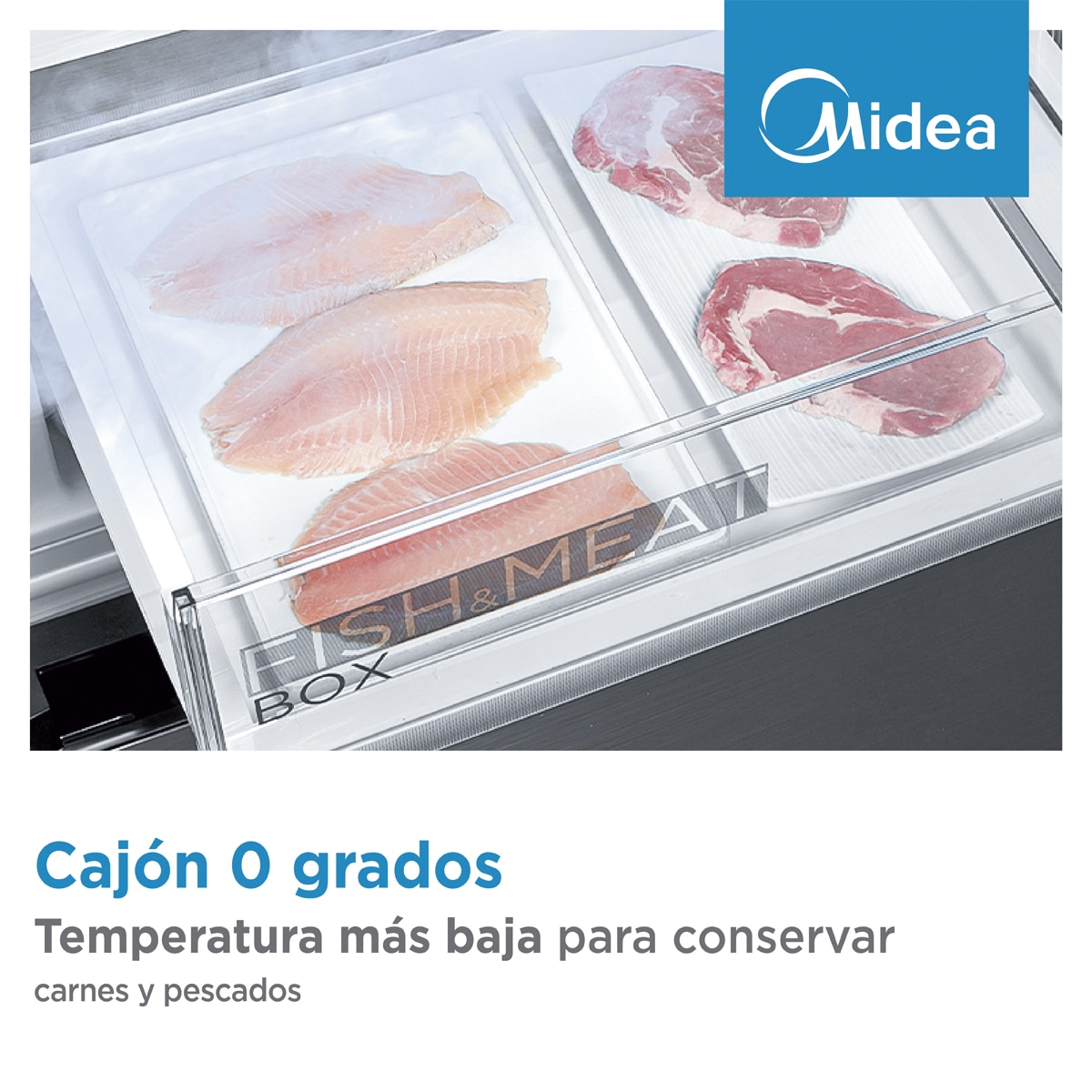 Frigorífico combi Midea Total No Frost Space Master 443L - MDRB600MIC46P (Reacondicionado Grado D) - Inox Brillante Inox Brillante-13
