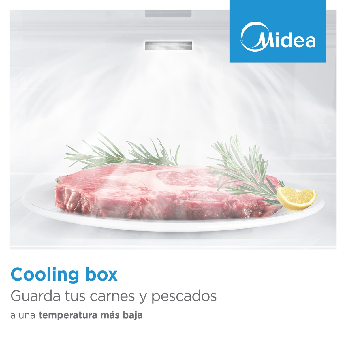 Frigorífico combi Midea Total No Frost - MDRB593FGE46. (Reacondicionado Grado C) - Inox Brillante Inox Brillante-5
