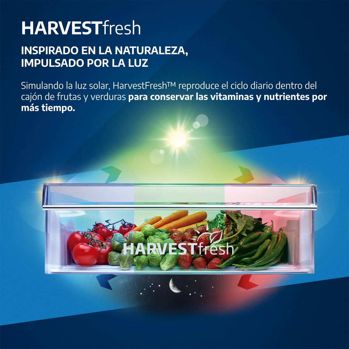 Frigorífico Combi Beko Total No Frost - Modelo B5RCNE416HW (Reacondicionado Grado C) - Blanco Blanco-9