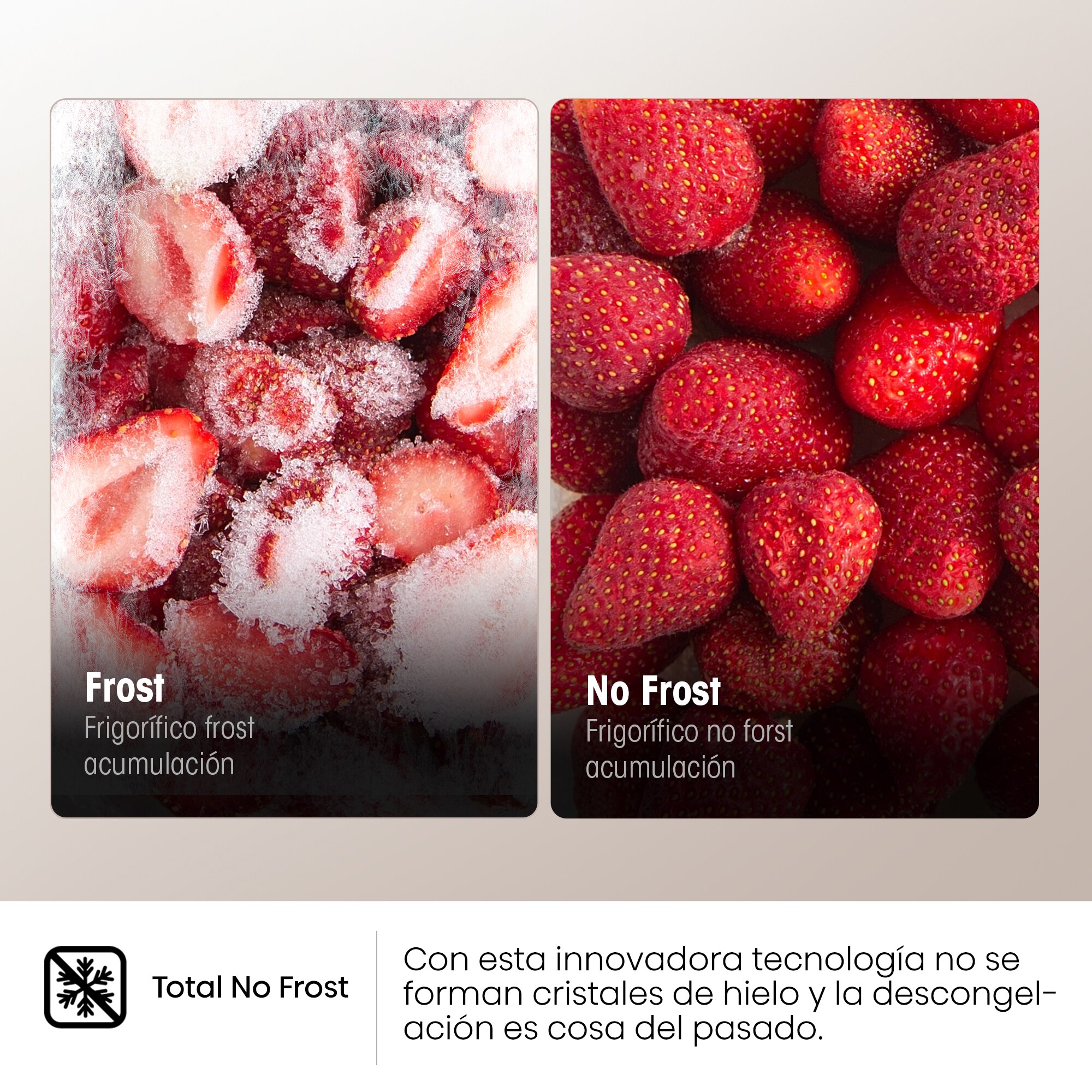Imagen 13 de Frigorífico Combi Hisense Total No Frost - RB440N4GWD (Reacondicionado Grado B) - Cristal blanco Cristal blanco