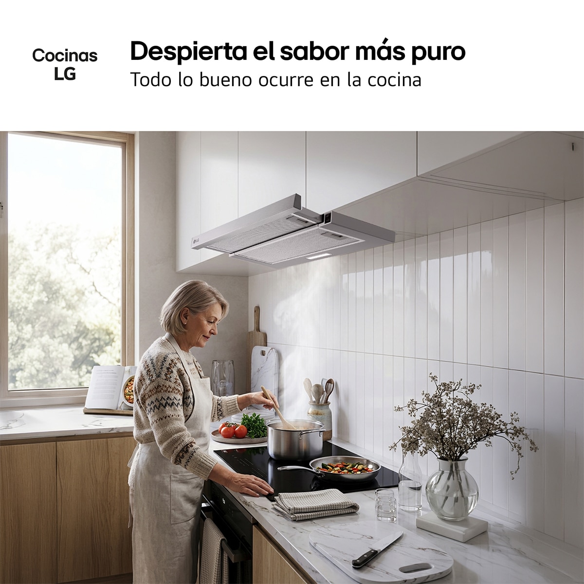 Campana telescópica LG extraíble con 2 velocidades, 60 cm - HT322413S (Reacondicionado Grado B) - Inox Inox-10