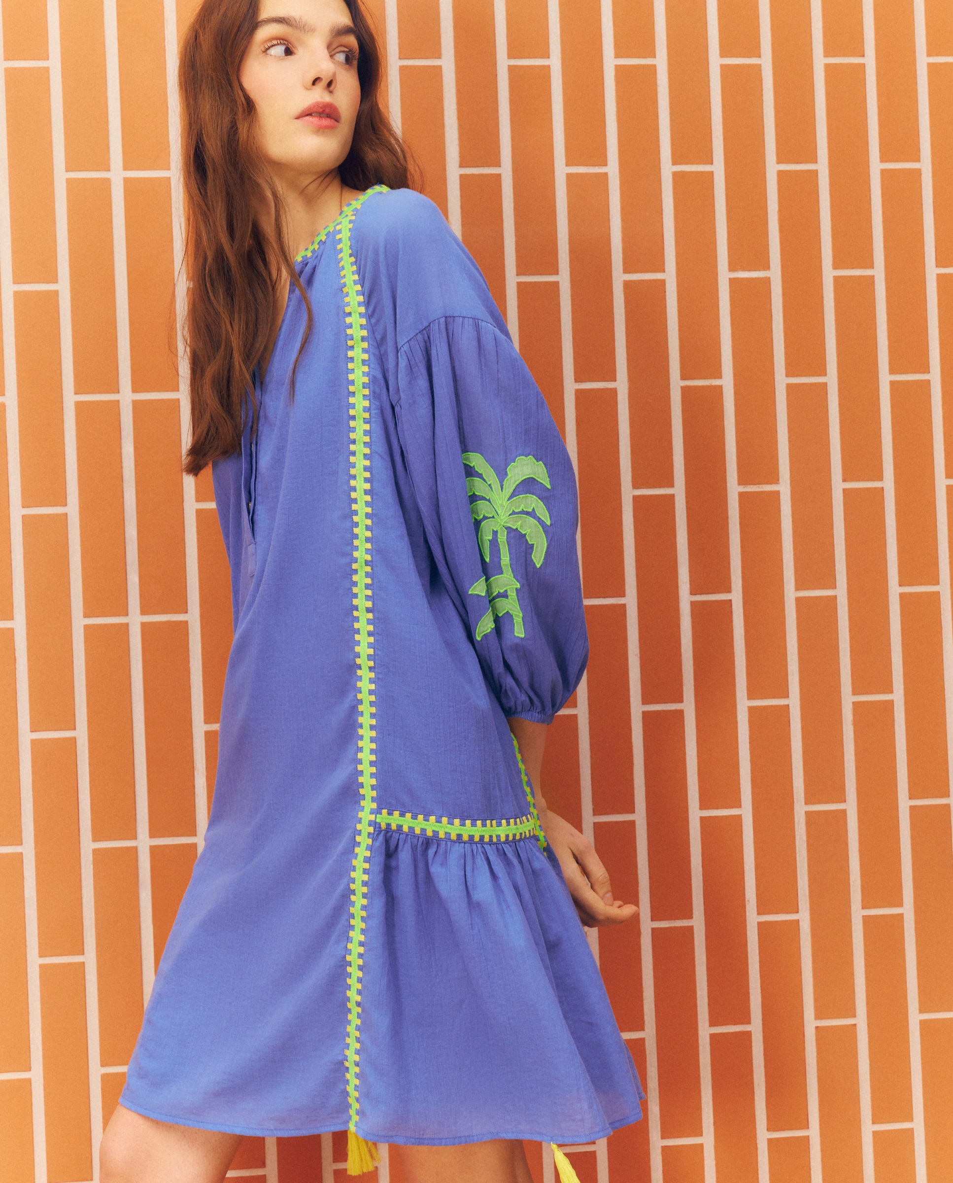 Imagen 0 de Vestido con bordado