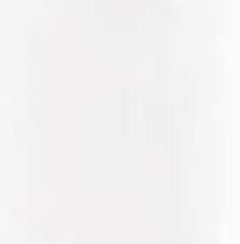 49 White 49 White