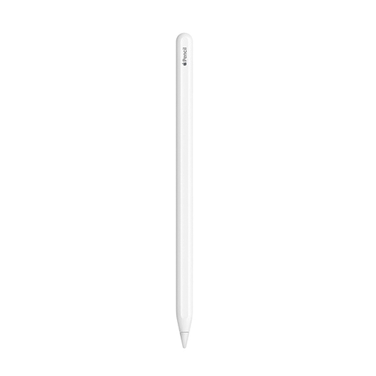 Apple Pencil (2ª generación) para iPad Pro 11