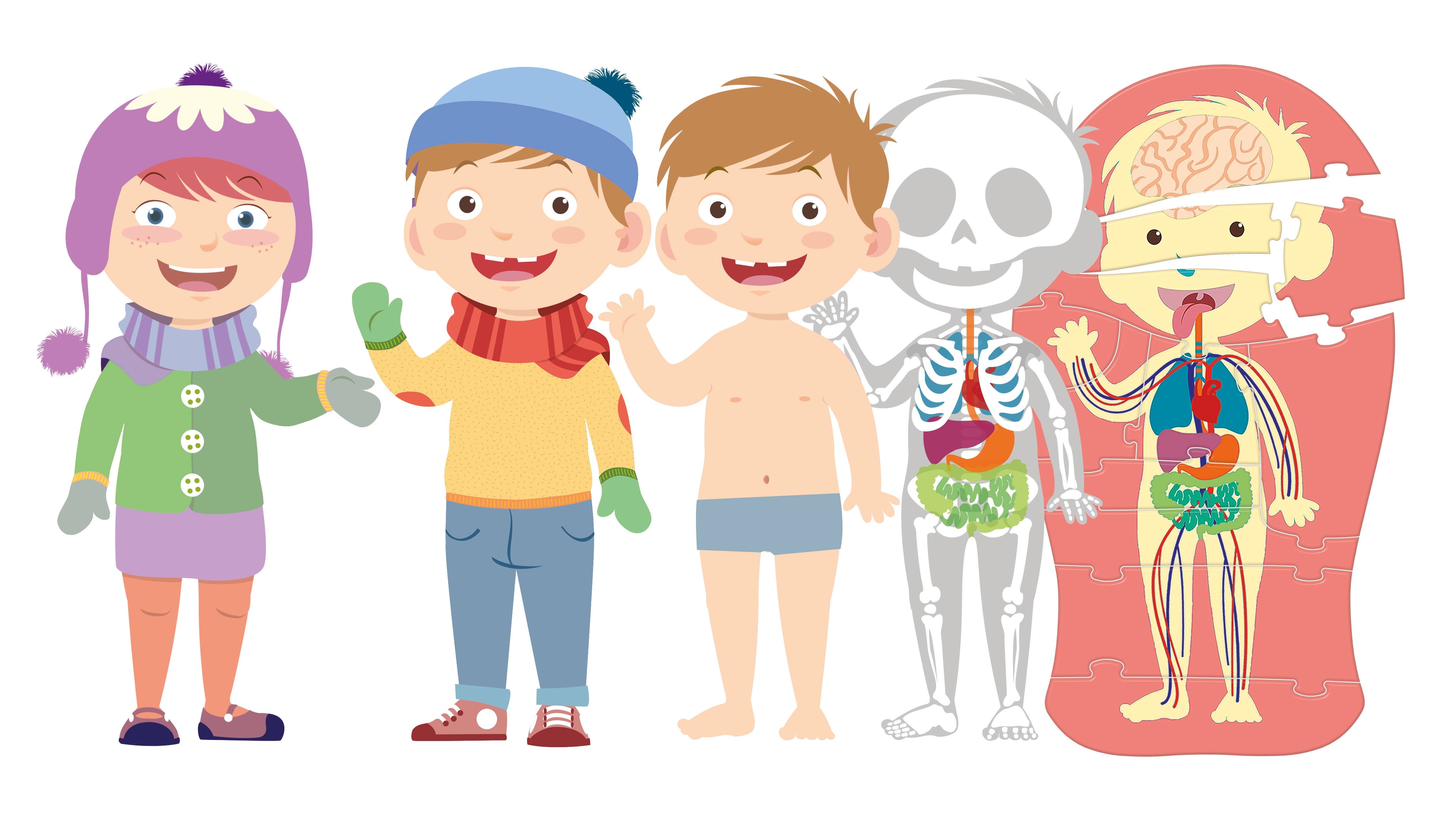 El cuerpo humano 2