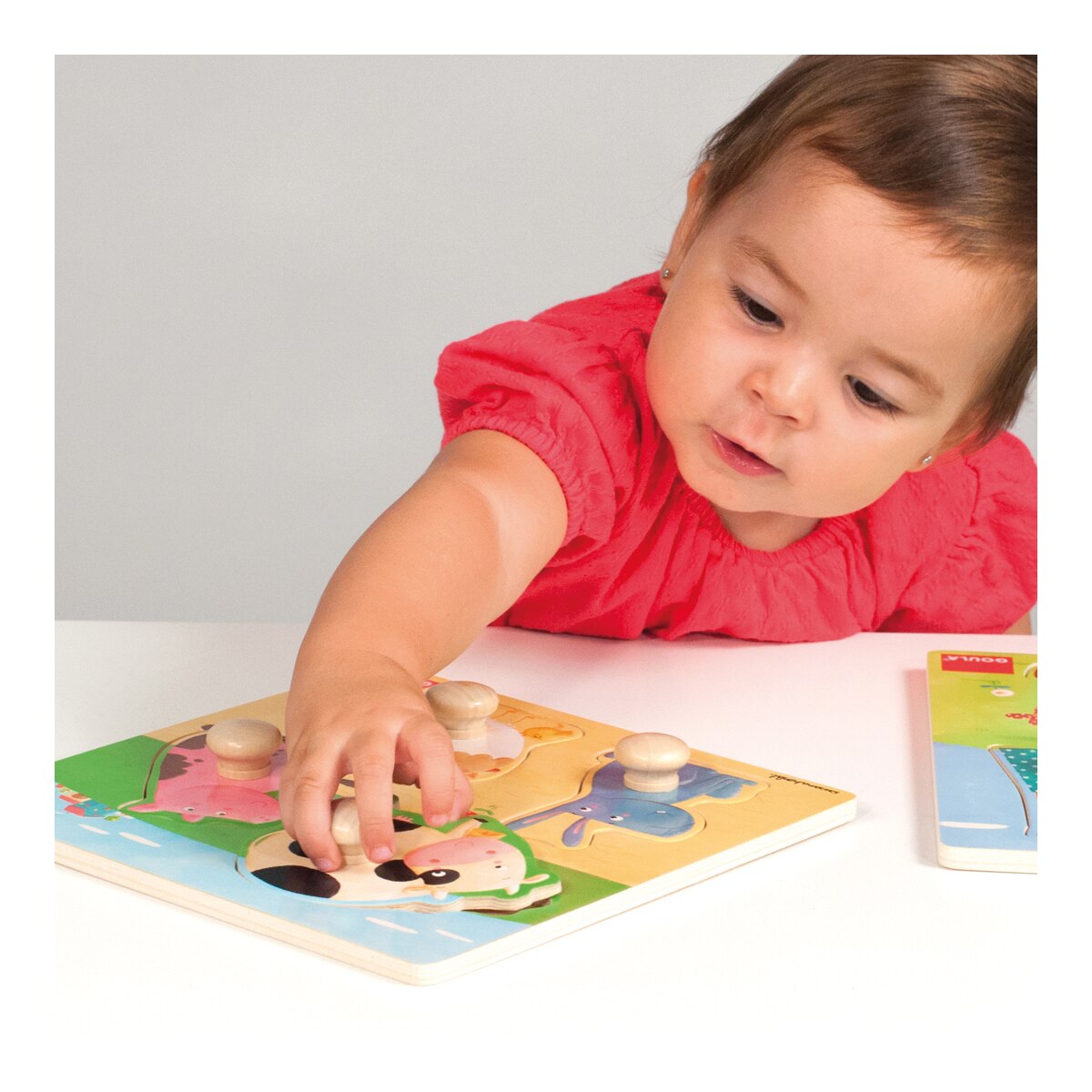 Puzzle Goula Animais da Quinta Cores 3